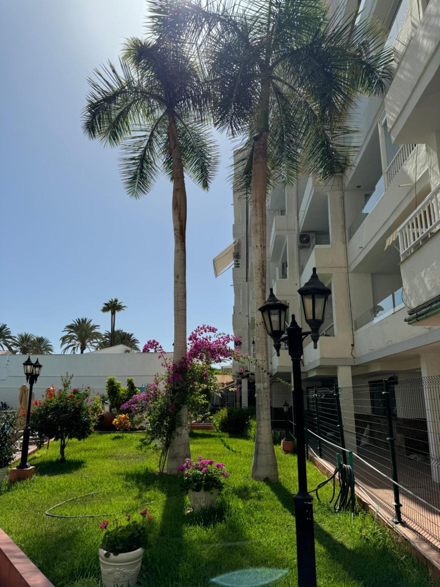 Apartamento Reformado En Apartamentos Tanife, Playa Del Ingles San Bartolomé Luaran gambar