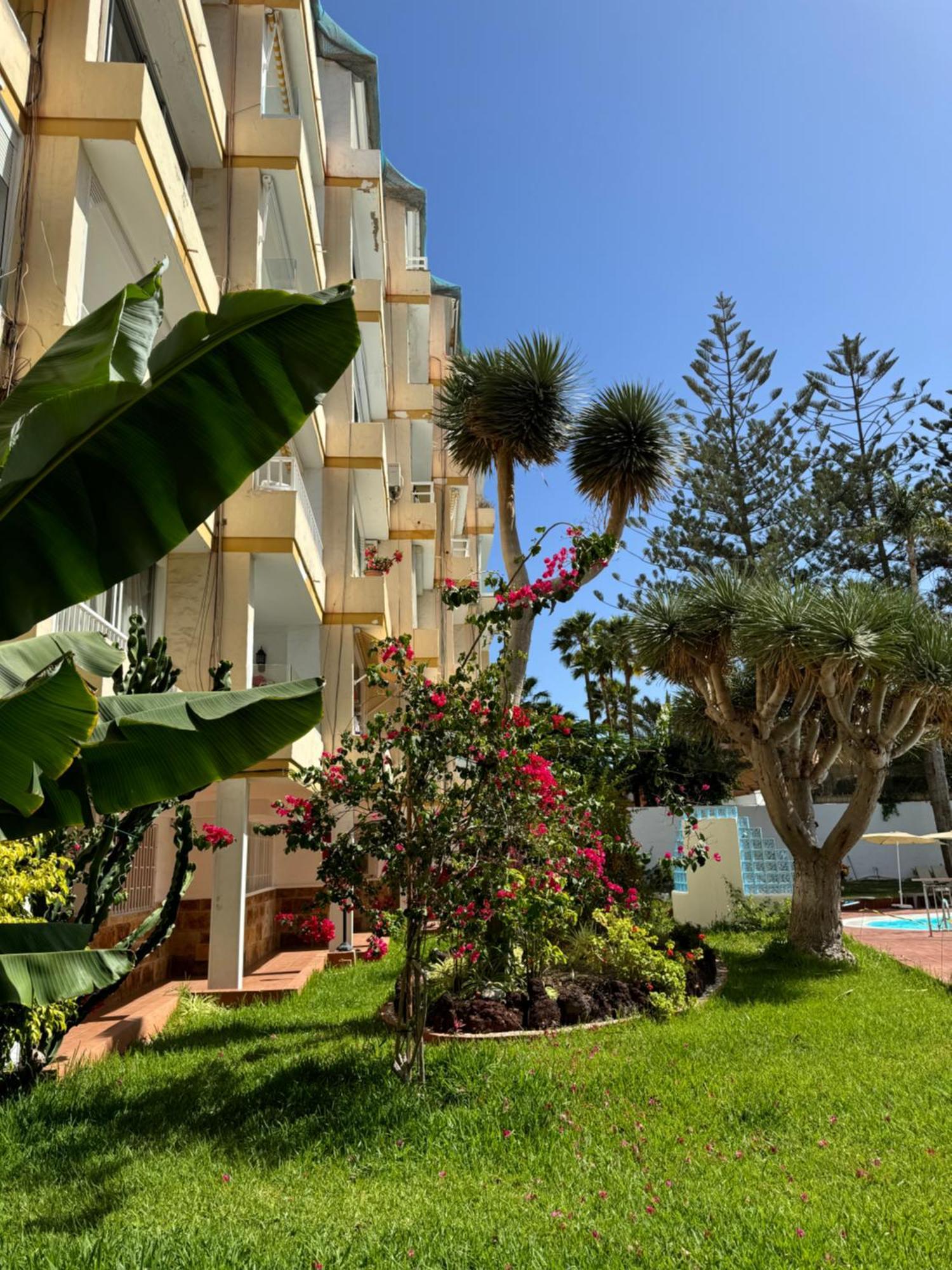 Apartamento Reformado En Apartamentos Tanife, Playa Del Ingles San Bartolomé Luaran gambar